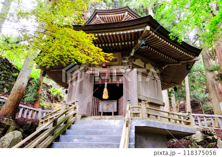 楓と弁財天奉安殿 118375056