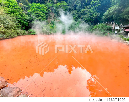 別府地獄巡り・血の池地獄 別府地獄巡り・血の池地獄 118375092