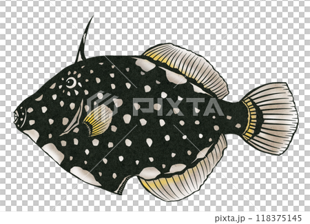 A paper cut-out illustration of a delicious white fish called ahasu 118375145