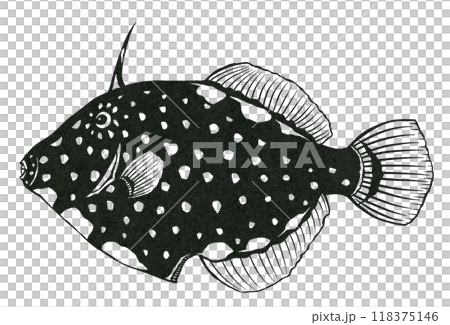 Simple black and white paper cut illustration of polka dot fish, Hatakemus nigricans 118375146