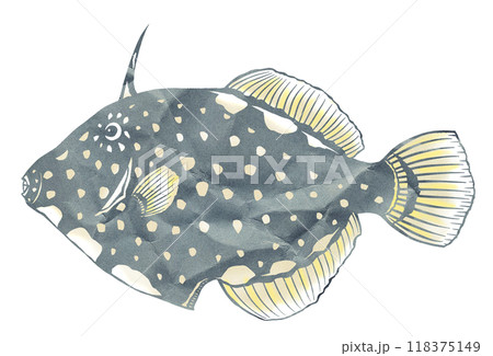 カラフル魚ハクセイハギの切り絵イラスト カラフル魚ハクセイハギの切り絵イラスト 118375149