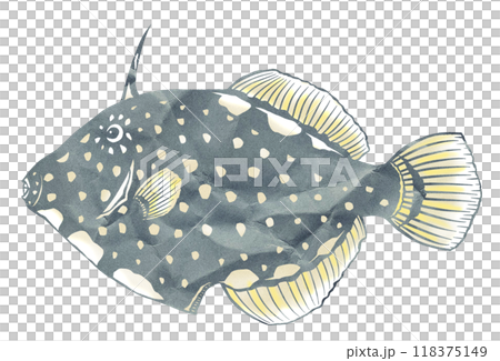 カラフル魚ハクセイハギの切り絵イラスト カラフル魚ハクセイハギの切り絵イラスト 118375149