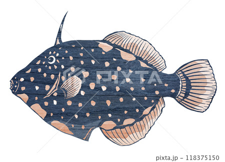 水玉の可愛い魚ハクセイハギの切り絵イラスト 水玉の可愛い魚ハクセイハギの切り絵イラスト 118375150