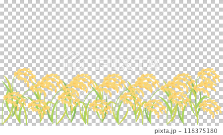 実った稲・稲穂のイラスト アスペクト比16:9バージョン 実った稲・稲穂のイラスト アスペクト比16:9バージョン 118375180