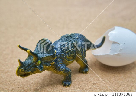 殻から出てきたトリケラトプス 118375363