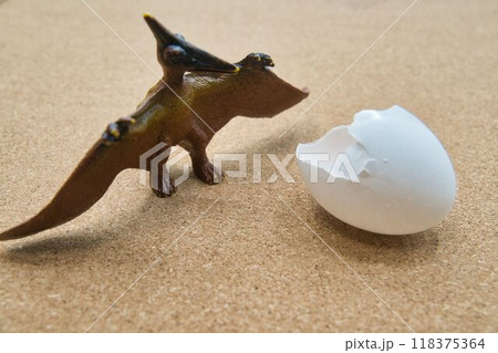 殻から出てきたプテラノドン 118375364