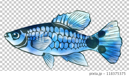 Blue Mickey Mouse Platy Cutout Illustration 118375375