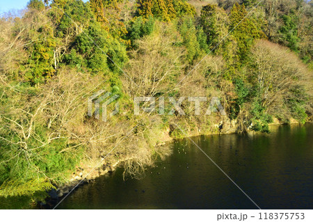 JR東日本水郡線の、磐城石井駅から磐城浅川駅までの車窓風景(2022年12月) 118375753