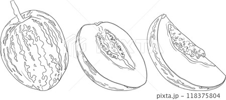 Pepino fruit, melon pear, Solanum muricatum.  118375804