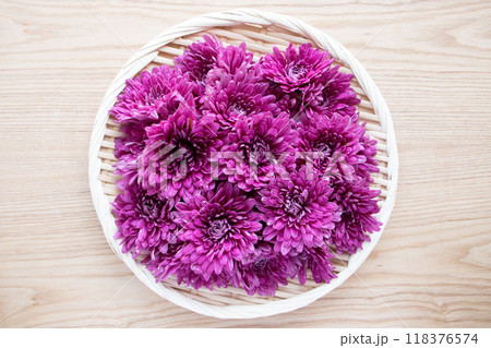 ザルに盛った菊 118376574