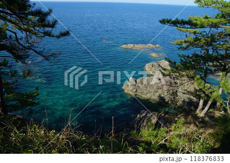 夏の若狭高浜 城山公園 118376833