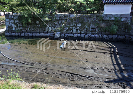 和歌山城　お堀の水抜き 118376990