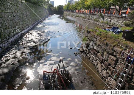 和歌山城　お堀の水抜き 118376992