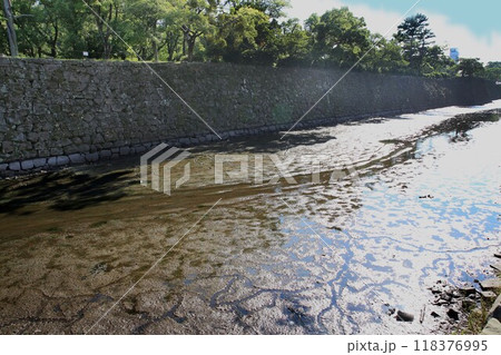 和歌山城 お堀の水抜き 和歌山城 お堀の水抜き 118376995