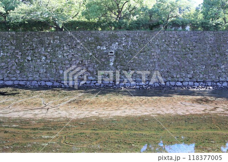 和歌山城 お堀の水抜き 和歌山城 お堀の水抜き 118377005