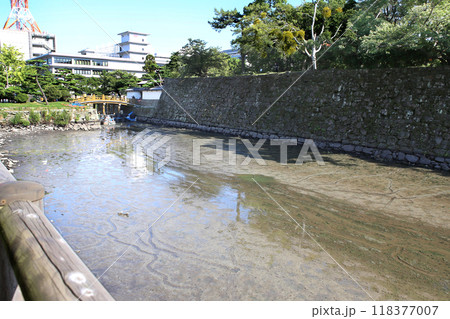 和歌山城　お堀の水抜き 118377007
