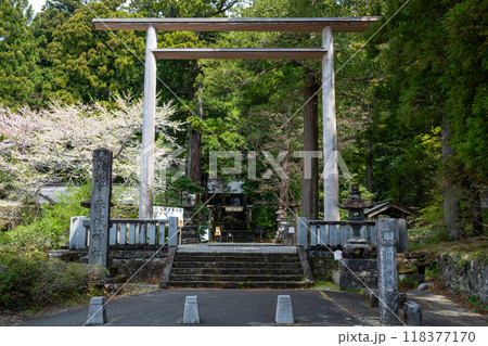 三夜沢赤城神社の大鳥居と参道 三夜沢赤城神社の大鳥居と参道 118377170