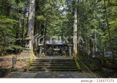 三夜沢赤城神社の参道と石段 三夜沢赤城神社の参道と石段 118377173