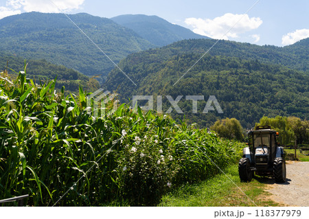 Cornfield with Tractor and Mountainous Landscape 118377979