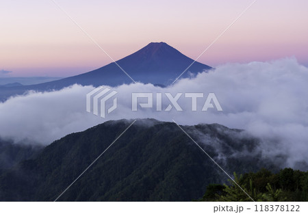 大月市 白谷ノ丸山頂から夜明けの雲海とビーナスベルトの富士山 大月市 白谷ノ丸山頂から夜明けの雲海とビーナスベルトの富士山 118378122