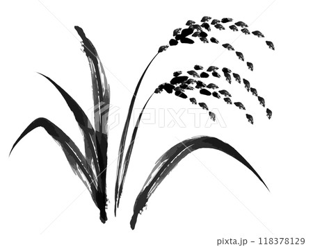 稲穂 筆書き_ベクターイラスト 118378129