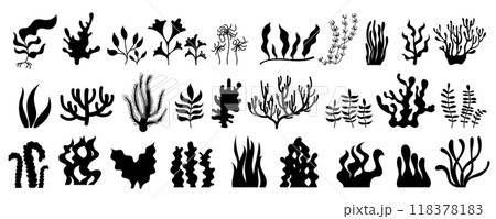 Collection of black silhouettes depicting various types of seaweed and coral. Ideal for illustrating underwater marine environments, ocean reef settings, and sea life. 118378183