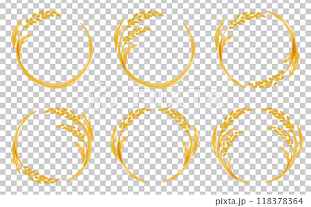 Rice ear frame brush drawing_vector illustration 118378364