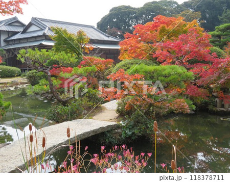 紅葉の長府庭園 書院と池の橋 紅葉の長府庭園 書院と池の橋 118378711