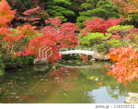 池を彩る紅葉の長府庭園 118378712