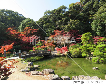 書院前の池と紅葉 長府庭園 書院前の池と紅葉 長府庭園 118379303