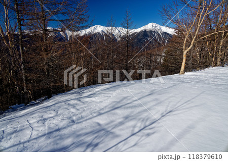 南アルプス・杖立峠付近から見る白峰三山 118379610