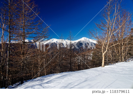 南アルプス・杖立峠付近から見る白峰三山 南アルプス・杖立峠付近から見る白峰三山 118379611