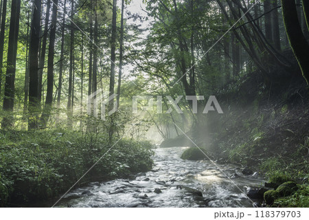 富士宮市から富士山の伏流水に差し込む光芒	 118379703