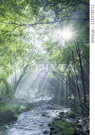 富士宮市から富士山の伏流水に差し込む光芒	 118379711