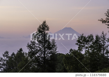 夜明けの甘利山 夜明けの甘利山 118379880