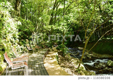 湯河原町 万葉公園湯河原惣湯の川の道とテラス席と新緑 湯河原町 万葉公園湯河原惣湯の川の道とテラス席と新緑 118380108