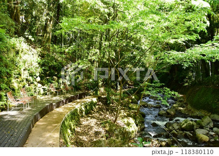 湯河原町　万葉公園湯河原惣湯の川の道とテラス席と新緑 118380110
