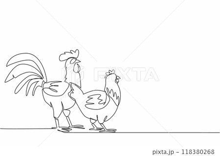 Single one line drawing rooster and hen standing in a row. Freedom on farm. Not always in cage. Happy chickens produce superior seeds. National Poultry Day. Continuous line design graphic illustration Single one line drawing rooster and hen standing in a row. Freedom on farm. Not always in cage. Happy chickens produce superior seeds. National Poultry Day. Continuous line design graphic illustration 118380268