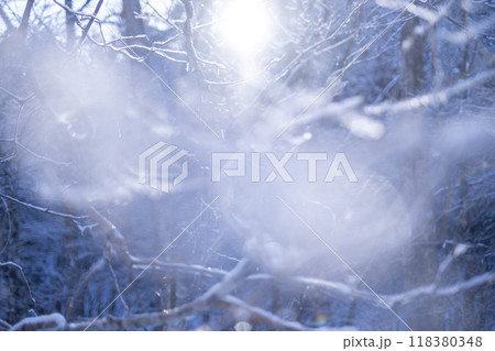 放射冷却で里山に降りた霜（恩原湖周辺） 118380348