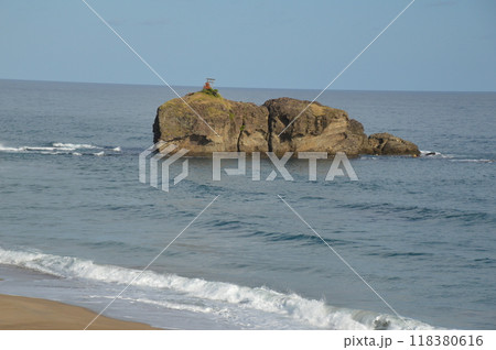淤岐ノ島（道の駅 神話の里 白うさぎ／鳥取県鳥取市白兎613） 118380616