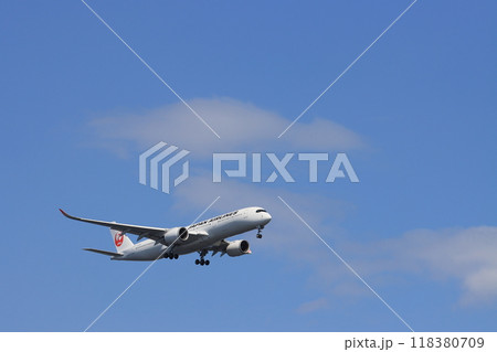 羽田空港に着陸する旅客機　飛行機の着陸進入 118380709