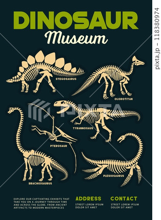 Dinosaurs museum poster with prehistoric dino fossils and skeletons of Stegosaurus, Brachiosaurus, Pterodactyl and Tyrannosaurus species. Vector vintage flyer invites to explore ancient creatures Dinosaurs museum poster with prehistoric dino fossils and skeletons of Stegosaurus, Brachiosaurus, Pterodactyl and Tyrannosaurus species. Vector vintage flyer invites to explore ancient creatures 118380974