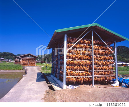 淡路島名物、玉ねぎ小屋（兵庫県南あわじ市の阿万付近） 118381021