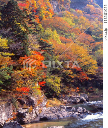 香落渓（こおちだに）の紅葉 、青蓮寺川上流/ 小太郎岩付近/「日本百景」「室生赤目青山国定公園」 118381023