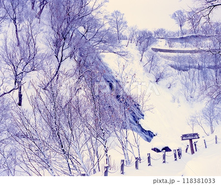 オシンコシンの滝の雪景色「日本の滝百選」「知床国立公園」「知床八景」 オシンコシンの滝の雪景色「日本の滝百選」「知床国立公園」「知床八景」 118381033