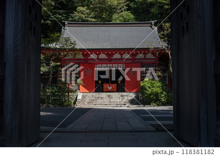 鎌倉249 荏柄天神社11 木漏れ日 鎌倉249 荏柄天神社11 木漏れ日 118381182