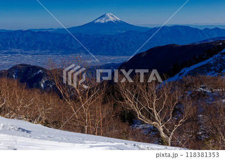 南アルプス・鳳凰山・薬師岳稜線から見る富士山 南アルプス・鳳凰山・薬師岳稜線から見る富士山 118381353