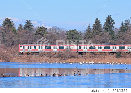 水戸線内を走行するE531系赤電 118381381