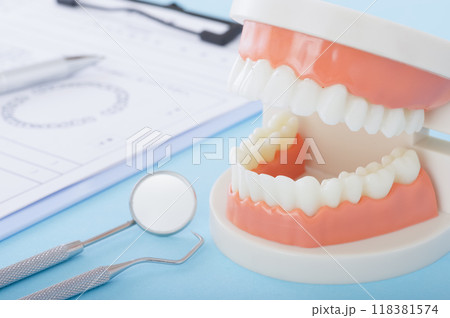 歯の模型と歯科治療のイメージ 歯の模型と歯科治療のイメージ 118381574