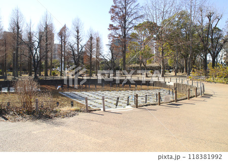 しょうぶ沼公園／東京都足立区谷中2丁目4 118381992